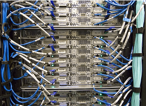 blue ethernet cables connected in a server 